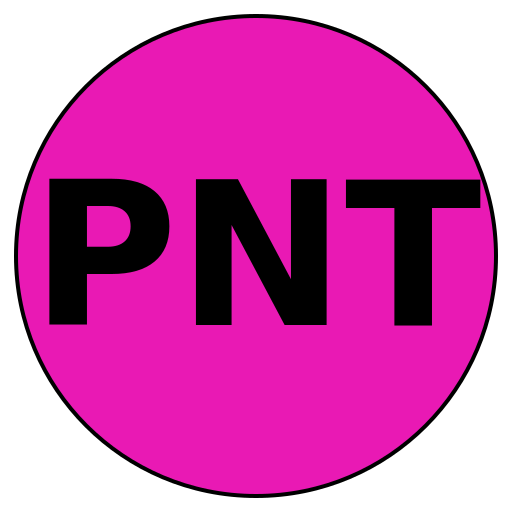 Pioneer Network Travels